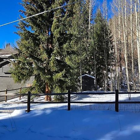 Private And Updated Breck Home With Hot Tub Breckenridge Exterior photo